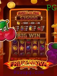 Descubra o Fascinante Mundo de FruitNovaSuper